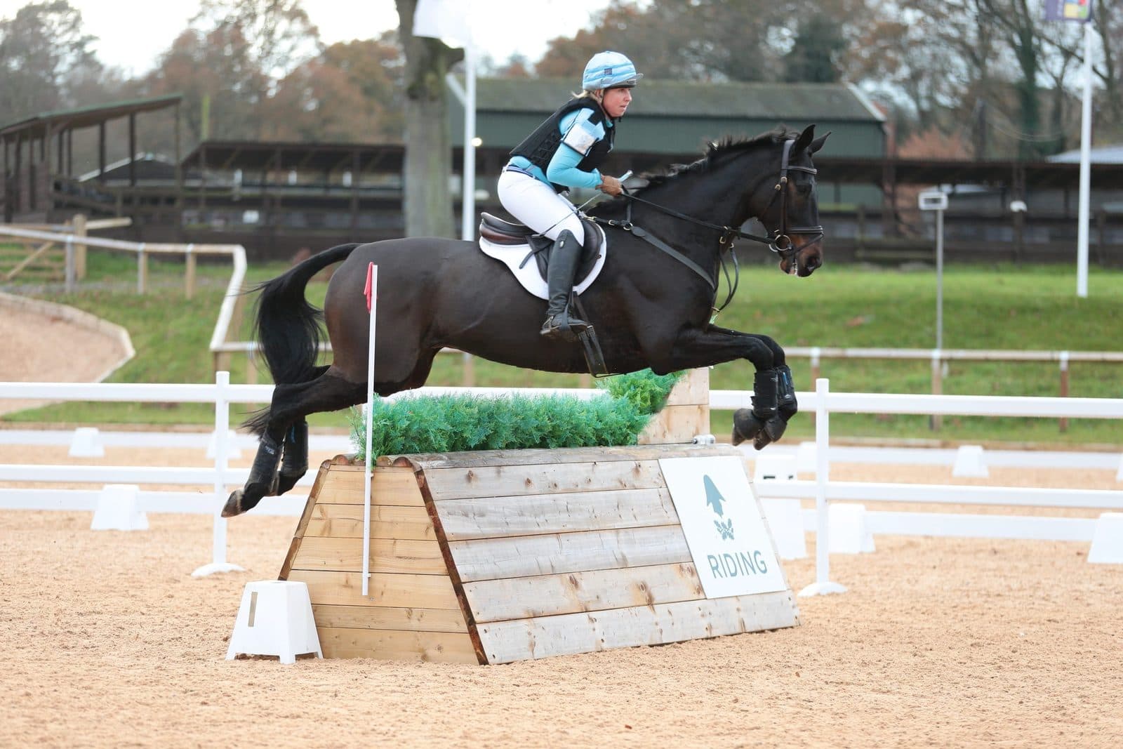 Junior Riding Camps