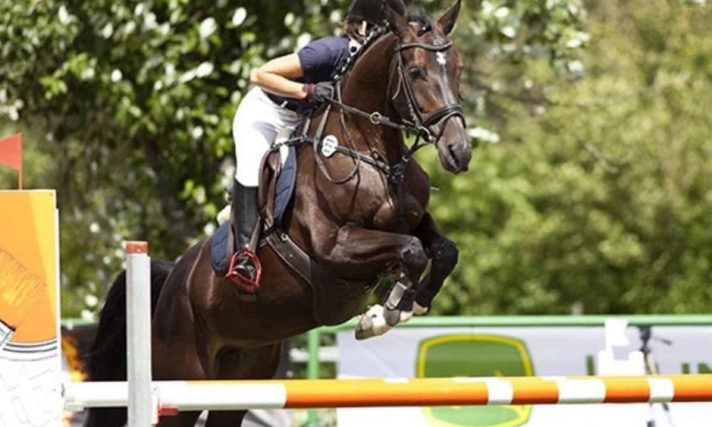 Horseback Riding Academy in France