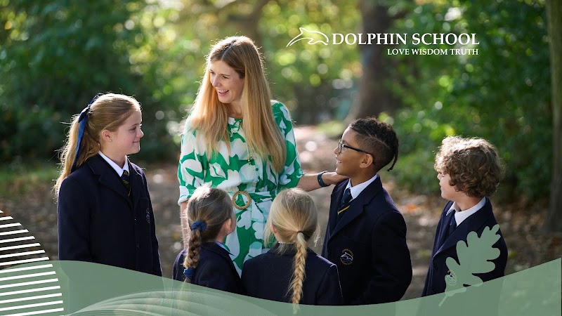 Dolphin School