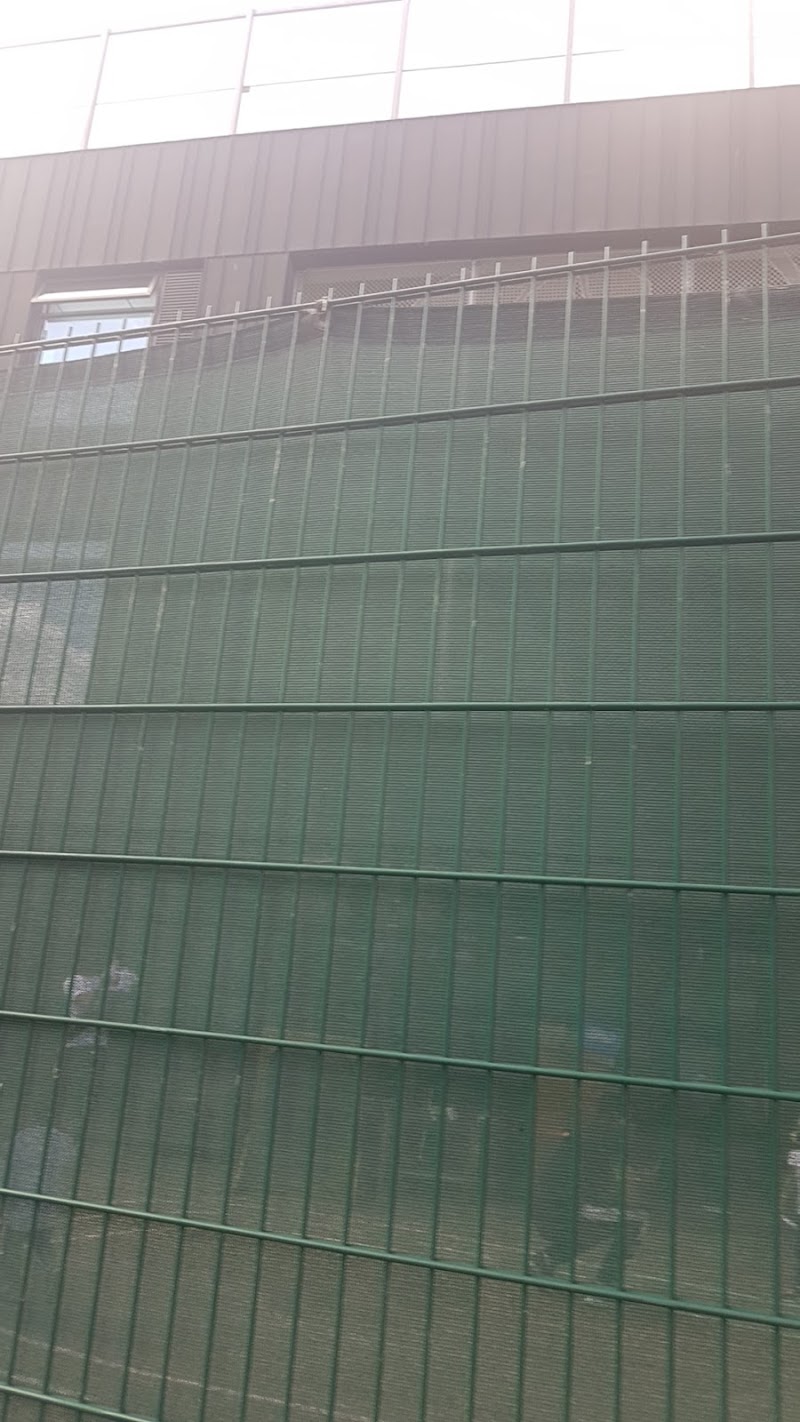 Northstar New School