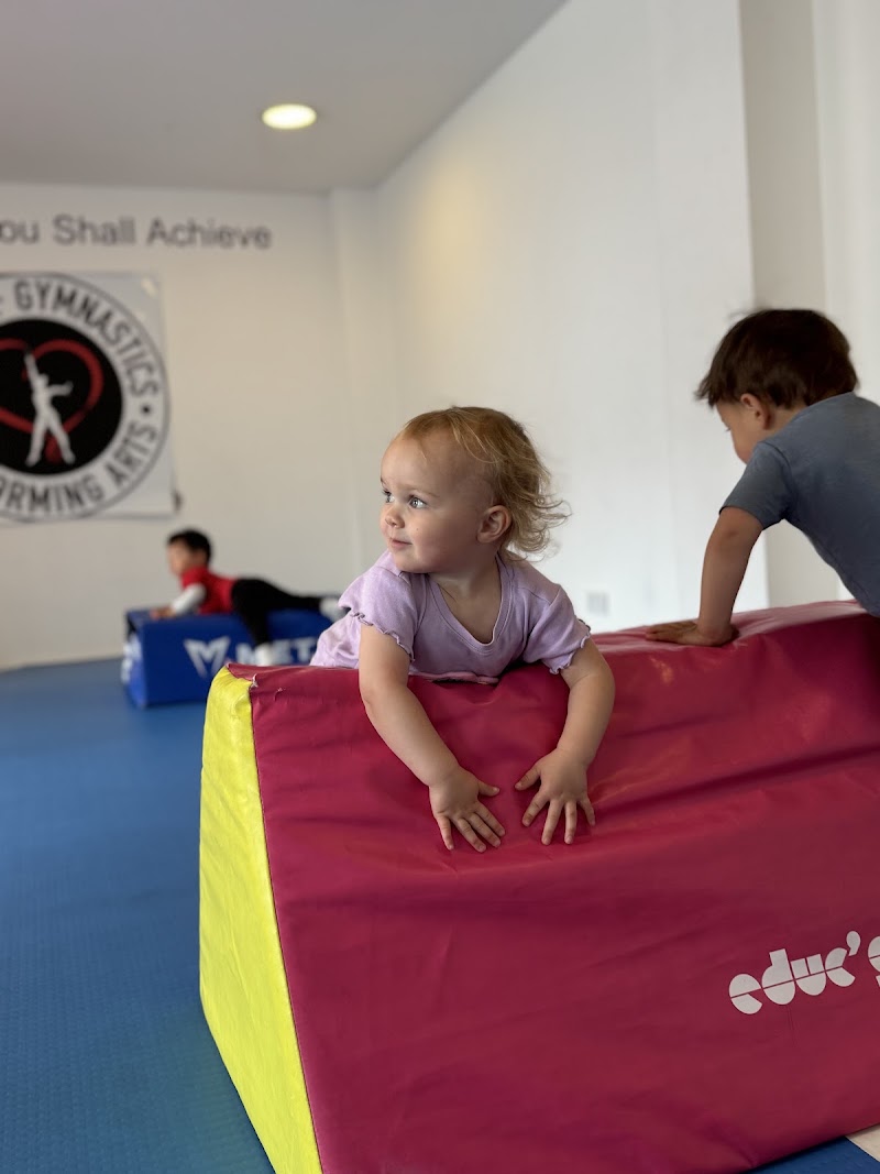 Summer Gymnastics Camp