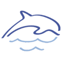 Dolphin School